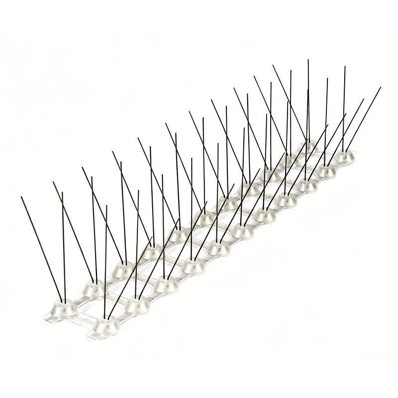Picchi di uccelli